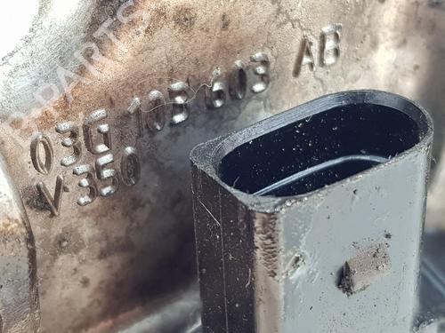 Oil sump SEAT ALTEA (5P1)  | BP22648713M115 