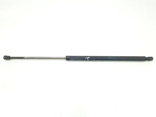 Tailgate lift support LAND ROVER RANGE ROVER SPORT I (L320) 2.7 D 4x4 | BP14099910C138 
