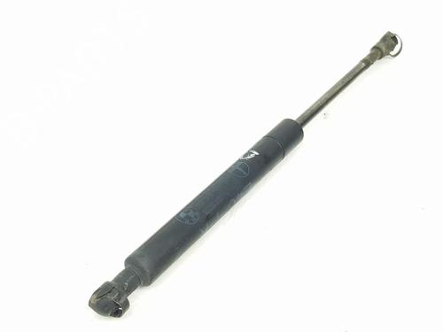 Hood lift support BMW 3 (E46) 320 d | BP14114978C139