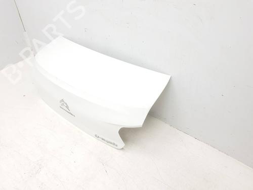 Tailgate CITROËN C-ELYSEE (DD_) 1.6 HDI 92 | BP29331752C6 