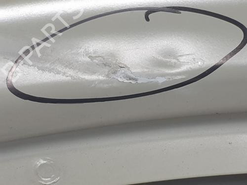 Left front door RENAULT TRAFIC III Van (FG_) 1.6 dCi 140 (FGMA, FGMC) | BP29716898C2 