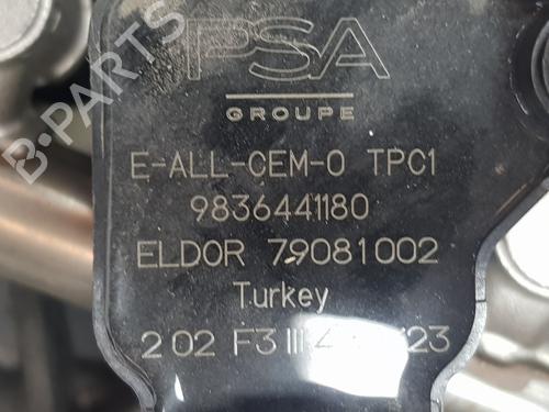 Engine ALFA ROMEO JUNIOR (626_, 627_)  | BP36935866M1  - Image 11