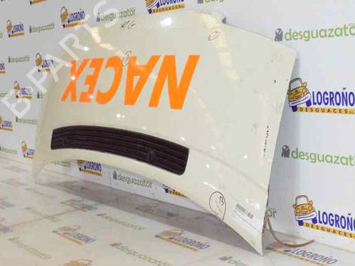 Hood VW TRANSPORTER T4 Van (70A, 70H, 7DA, 7DH) 2.5 TDI | BP3995831C1 