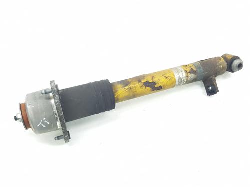 Used Left rear shock absorber BMW X6 (E71, E72) xDrive 40 d (306 hp) 24153238