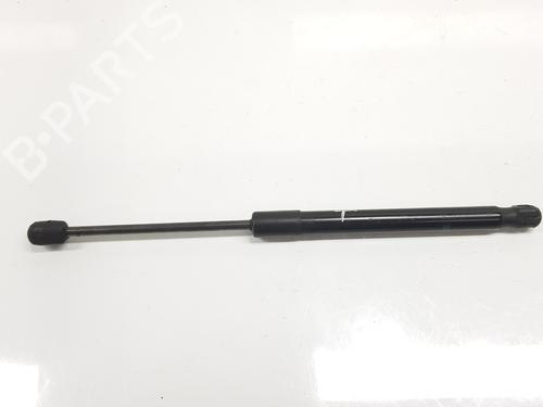Used Tailgate lift support PEUGEOT 407 SW (6E_, 6D_) 2.0 (136 hp) 19135069