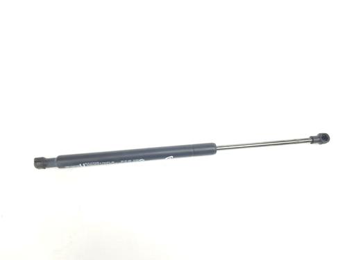 hood-lift-support-renault-arkana-i-lcm_-ldn_-2019-34699119 main image