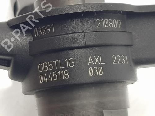 Injector BMW X4 (G02, F98)  | BP11353981M100 