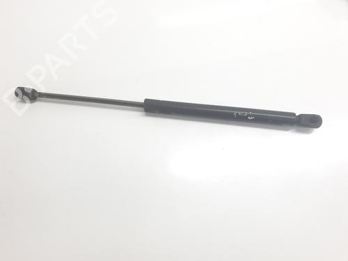 Tailgate lift support AUDI TT (8N3) 1.8 T quattro | BP28103174C138 