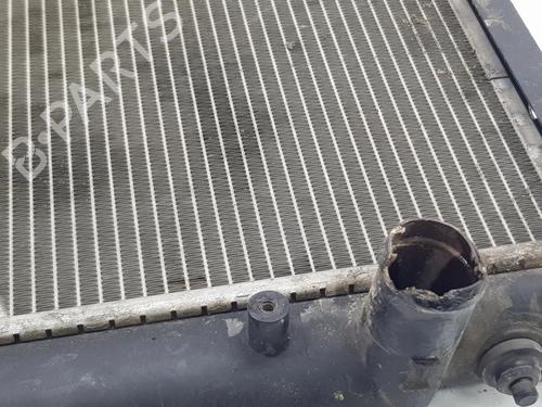 Køler NISSAN PATHFINDER III (R51)  | BP25849167M31 
