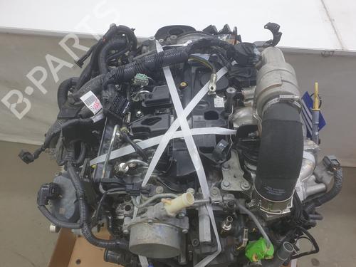 Used Engine Engine NISSAN NAVARA NP300 Pickup (D23, D23T) [2014-2026] 34099135 34099135