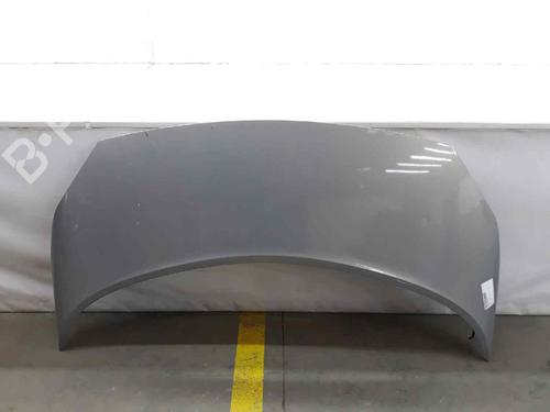 Used Hood RENAULT GRAND SCÉNIC II (JM0/1_) 1.5 dCi (JM02, JM13) (101 hp) 5807738