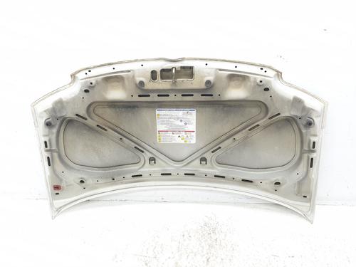 Hood FIAT PANDA (169_) 1.2 4x4 (169.AXB2A) | BP19098261C1