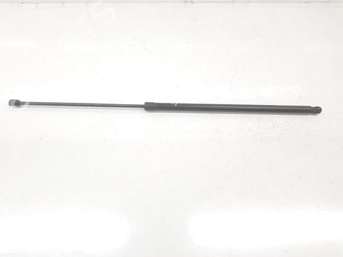 Used Tailgate lift support FORD TRANSIT Bus (FD_ _, FB_ _, FS_ _, FZ_ _, FC_ _) 2.2 TDCi (130 hp) 14099301
