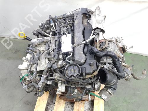 Engine SEAT LEON (5F1) 1.6 TDI | BP8411874M1 