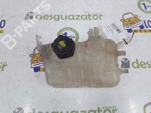 Used Expansion tank RENAULT GRAND SCÉNIC III (JZ0/1_) 1.5 dCi (JZ09, JZ0D, JZ10, JZ14, JZ1G, JZ29, JZ2C) (110 hp) 3242085