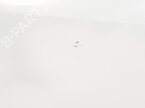 Right front door RENAULT TRAFIC III Bus (JG_) 1.6 dCi 125 (JGMH) | BP17064591C3 