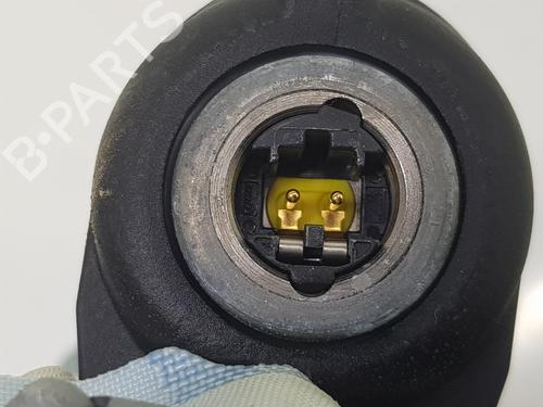 Right curtain airbag BMW 3 Touring (E91) 325 d | BP8126319C12 