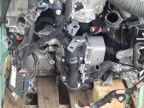 Engine RENAULT MASTER III Platform/Chassis (EV, HV, UV)  | BP36276978M1  - Image 6