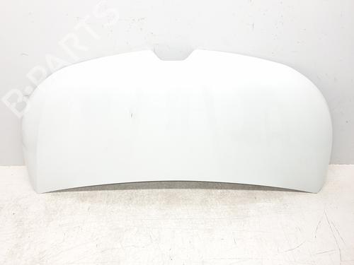 Panser RENAULT TRAFIC III Van (FG_) 1.6 dCi 140 (FGMA, FGMC) (140 hp) 30498354