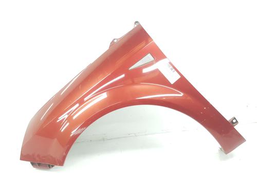 Left front fenders RENAULT SCÉNIC II (JM0/1_) 1.9 dCi (JM0G, JM12, JM1G, JM2C) | BP10176799C41 