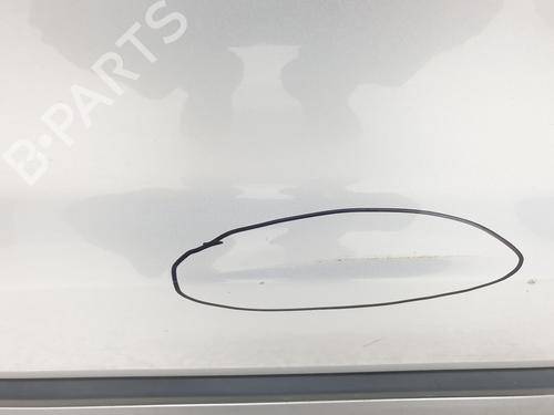 Right front door LAND ROVER RANGE ROVER EVOQUE (L538)  | BP29304402C3 