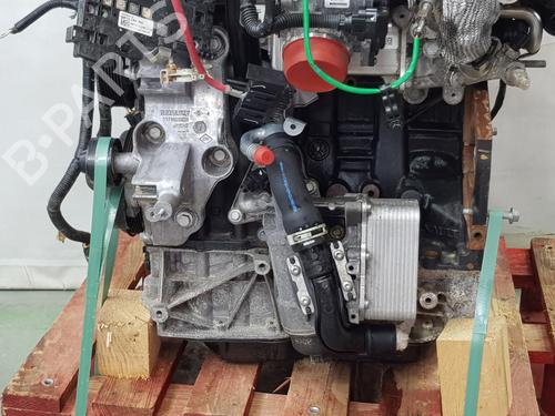 Engine OPEL MOVANO B Van (X62) | BP37631050M1 - Image 5