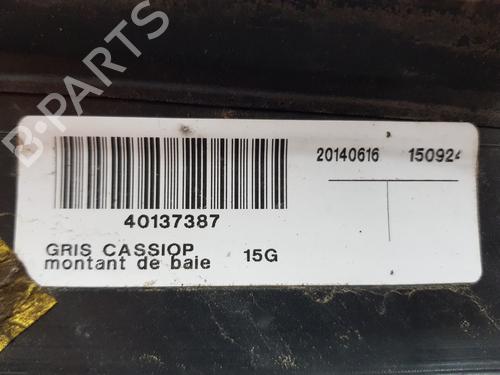 Other RENAULT SCÉNIC III (JZ0/1_)  | BP26231255O1 