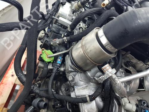 Engine OPEL MOVANO B Platform/Chassis (X62)  | BP33927288M1  - Image 8