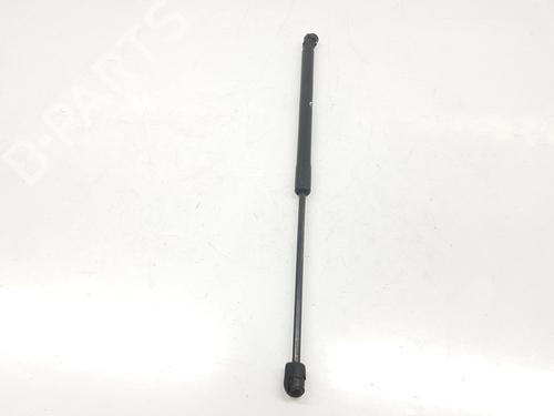 Hood lift support AUDI Q7 (4LB) 4.2 TDI quattro | BP14104775C139 