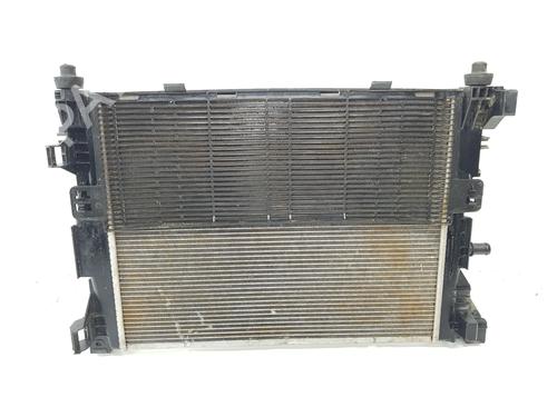 Water radiator RENAULT ZOE (BFM_) | BP34450220M31 - Image 3