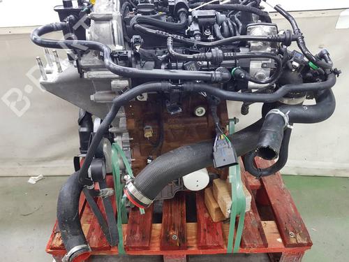 Engine FORD PUMA (J2K, CF7)  | BP39469537M1  - Image 9