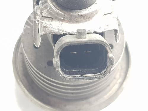 Injector LAND ROVER RANGE ROVER EVOQUE (L538)  | BP29316575M100 