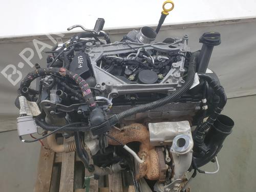 Used Engine VW TRANSPORTER T6 Van (SGA, SGH, SHA, SHH) [2015-2024]  30304895