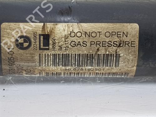 Left rear shock absorber BMW X5 (E70) xDrive 30 d | BP25608343M18 