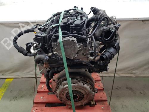 Engine VW CADDY III Box Body/MPV (2KA, 2KH, 2CA, 2CH) 1.6 TDI | BP36842175M1  - Image 7