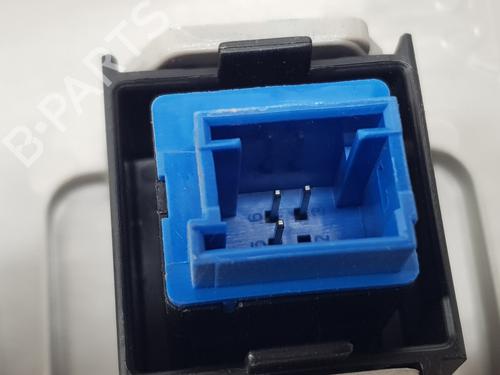 Interior roof light CITROËN BERLINGO (ER_, EC_) 1.5 BlueHDi 130 (ECYHZJ, ECYHZR) | BP31906509I8 