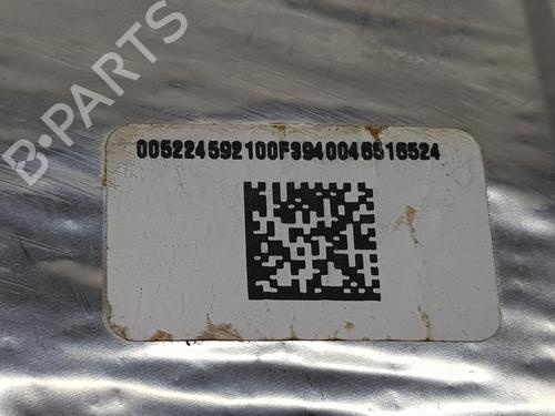Particulate filter FIAT DUCATO Van (250_)  | BP31593966M81 