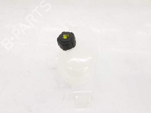 Expansion tank RENAULT MASTER III Platform/Chassis (EV, HV, UV) 2.3 dCi 135 FWD (EV0N, HV0N, UV0N, EV08, HV08, UV08) | BP9548029C120 