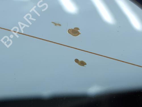 Left mirror BMW 3 (E46) 320 d | BP29409339C26 
