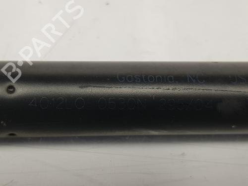 Tailgate lift support BMW X5 (E53) 3.0 d | BP14090494C138 