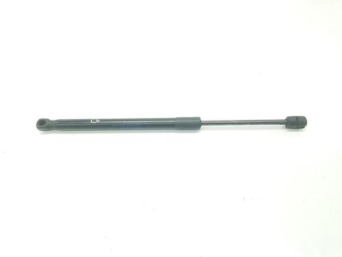Used Hood lift support LAND ROVER DISCOVERY V (L462) 3.0 Td6 4x4 (258 hp) 14098280