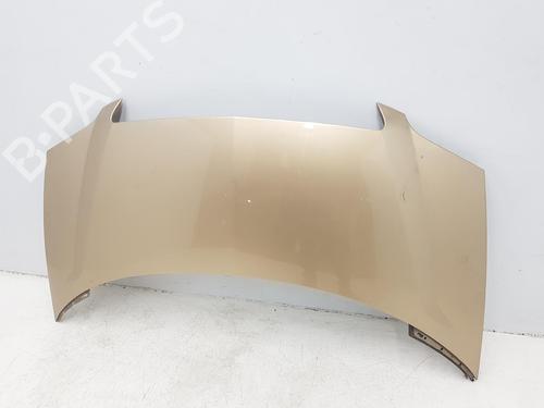 Hood LANCIA PHEDRA (179_) 2.2 JTD (179AXC1A) | BP13377397C1 