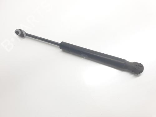 Hood lift support LAND ROVER RANGE ROVER EVOQUE (L538) 2.0 D 4x4 | BP24802263C139 