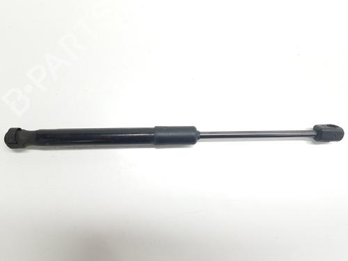 Used Hood lift support AUDI A6 C7 (4G2, 4GC) 2.0 TDI (190 hp) 31979258