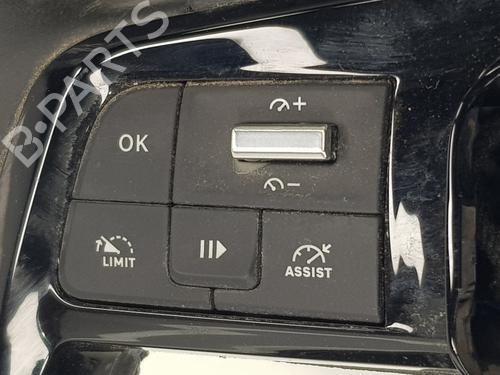 Rat CITROËN BERLINGO Box Body/MPV (K9)  | BP32124184C49 