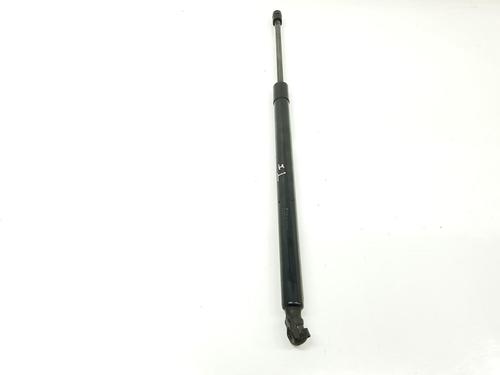 Tailgate lift support MERCEDES-BENZ M-CLASS (W164) ML 320 CDI 4-matic (164.122) | BP17440654C138 