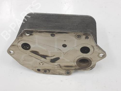 Egr BMW 5 (E60) 530 d | BP14089310M69 