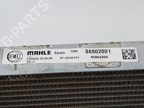 Water radiator FIAT DUCATO Van (250_)  | BP31594015M31 