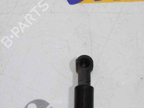 Hood lift support BMW 1 (E87) 120 d | BP14119534C139 