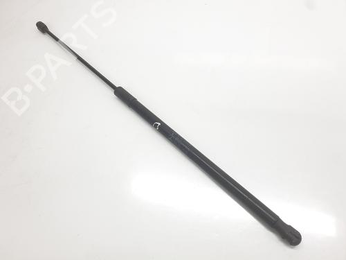 Hood lift support MERCEDES-BENZ C-CLASS (W204) C 320 CDI (204.022) | BP24125556C139 